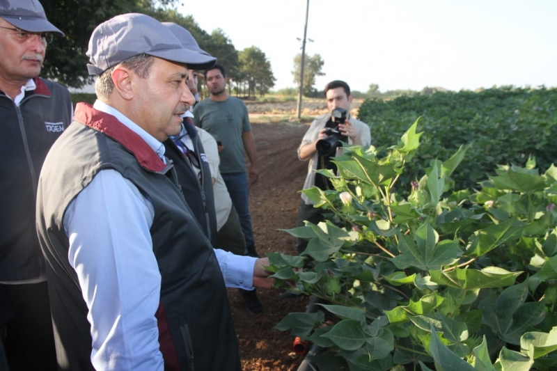 Vali Şıldak GAPTAEM'de Denemeleri İnceledi.