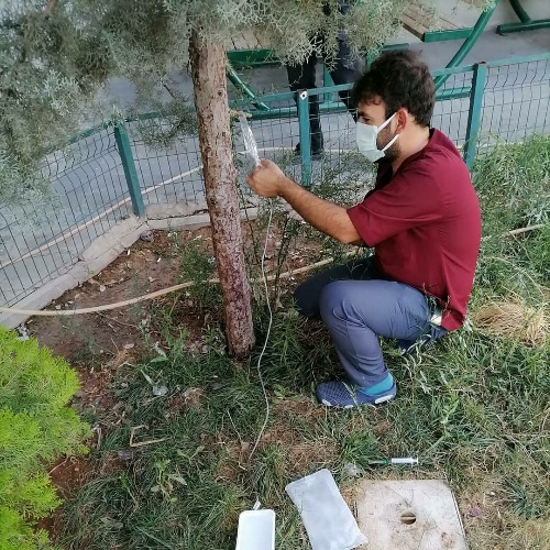 Yaralı Yavru Köpeğe İlk Müdahale Sağlık