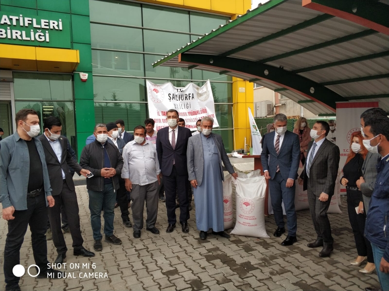 YEM BİTKİSİ TOHUMU DAĞITILDI