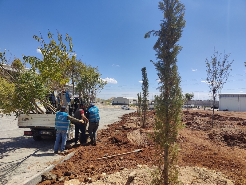 Yemyeşil Eyyübiye İçin Durmak Yok