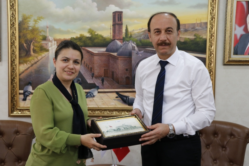 Yeşilay Heyeti Vali Erin İle İstişarede Bulundu